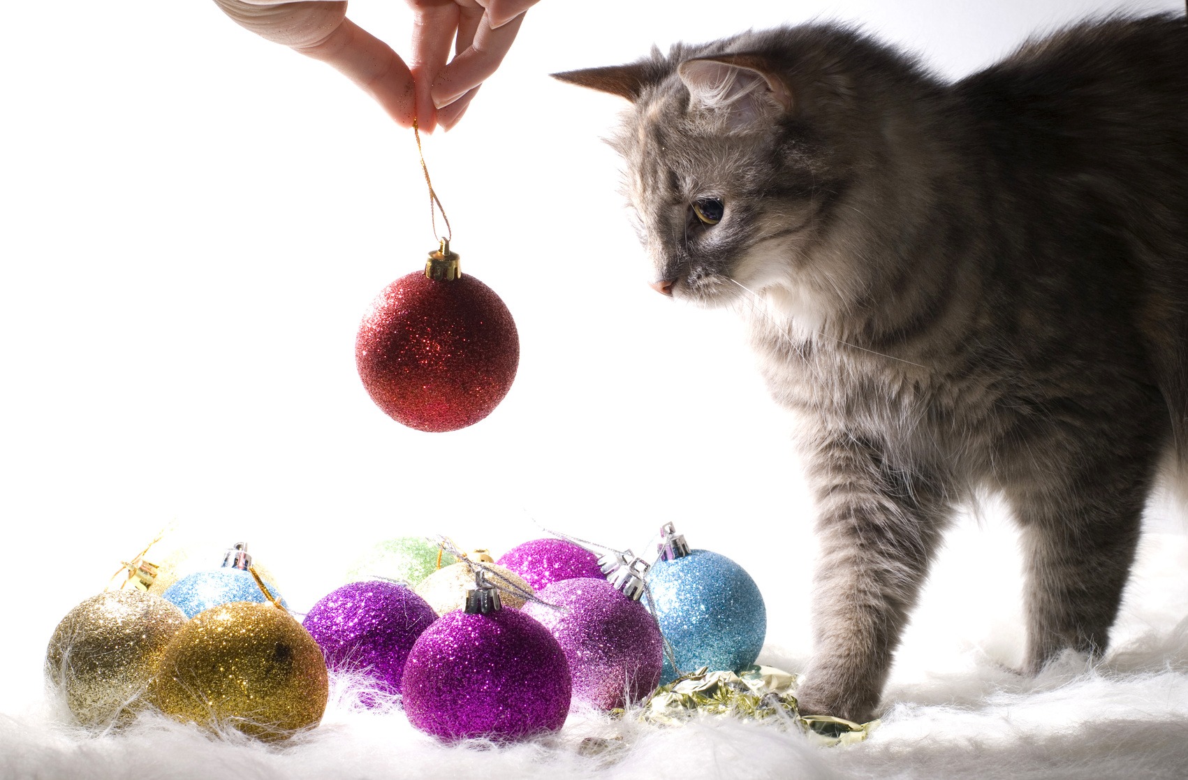 Attirer le client B to B